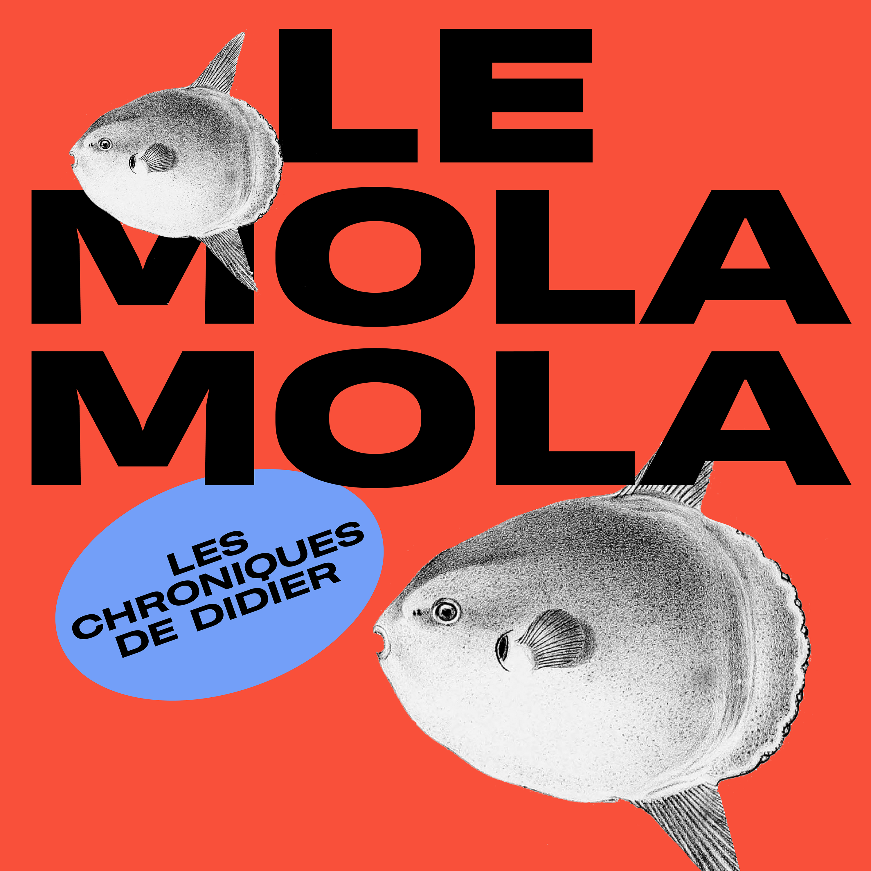 le-mola-mola-rstlss